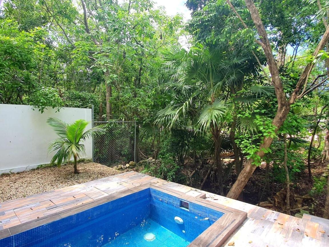 Exclusive House With Private Pool And Jacuzzi Βίλα Puerto Morelos Εξωτερικό φωτογραφία